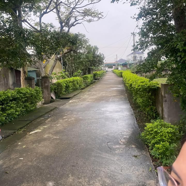 Đất thổ cư Cẩm Lĩnh 312m² giá đầu tư - Đường lớn, gần cầu Cửa Nhượng!