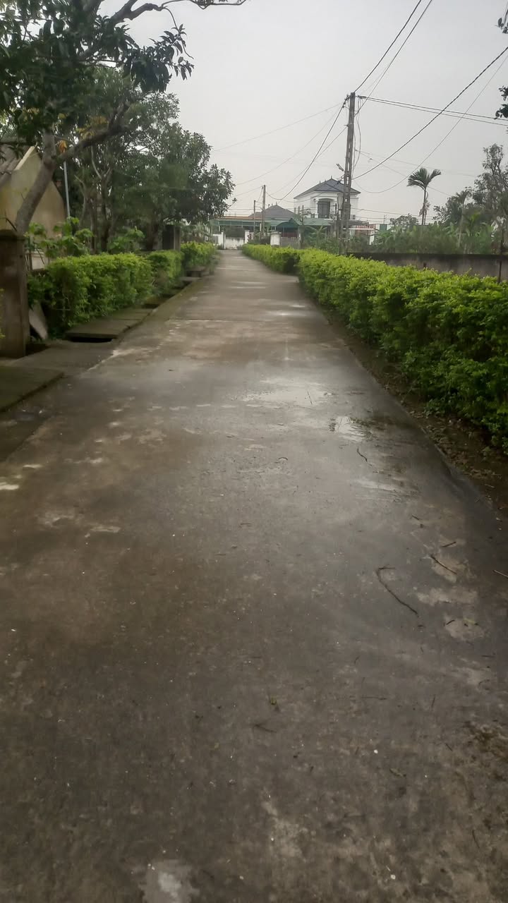 Đất nền Thiên Cầm, Cẩm Xuyên 237.9m² - Cơ hội đầu tư tuyệt vời!