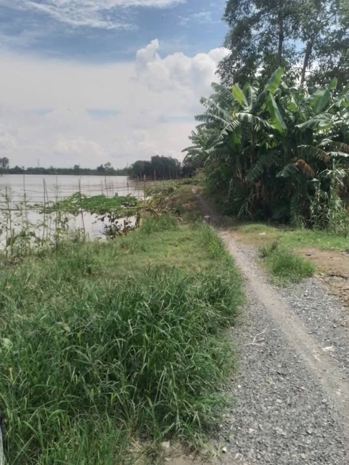 Đất nông nghiệp Mỹ Thới 130.000m² giá 3.64 tỷ - Kênh mặt tiền 60m!