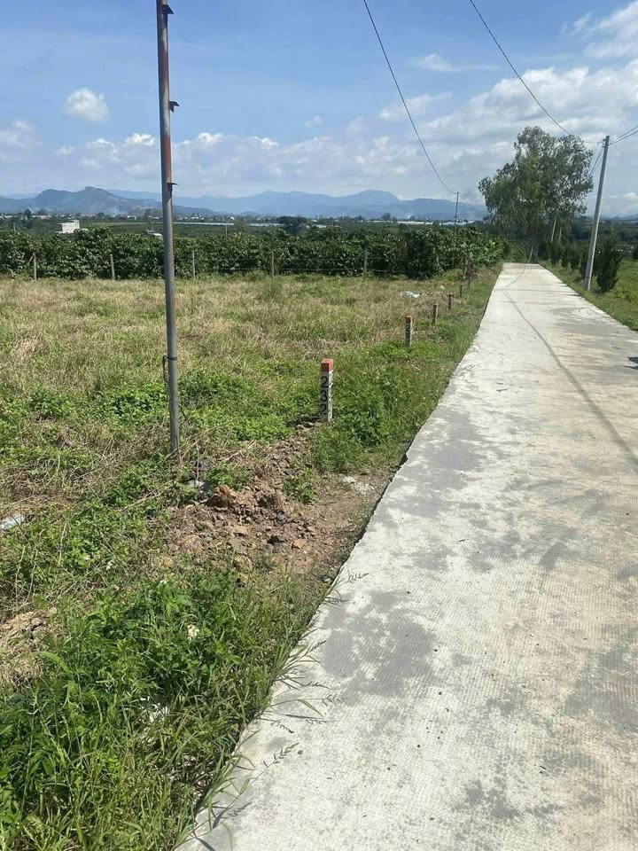 Đất nền tại Lâm Hà 1440m² giá chỉ 439 triệu - Đầu tư sinh lợi ngay!