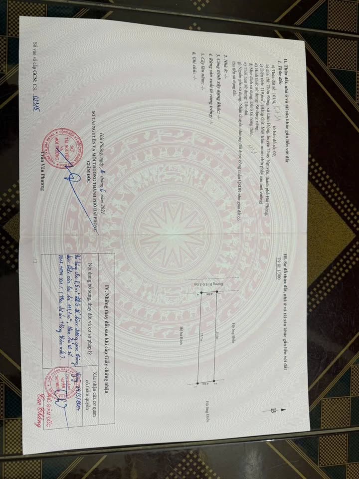 Đất nền Thôn Đông, Lâm Động 119,6m² giá 3,6 tỷ - Đầu tư lý tưởng cho tương lai!