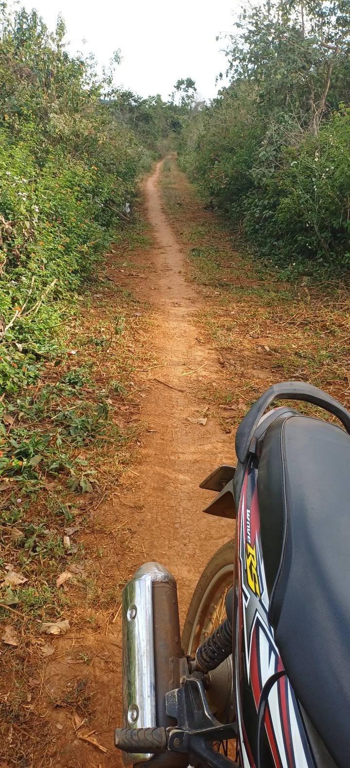 Đất nông nghiệp Ia Kênh, TP. Pleiku 2800m² giá 550 triệu - Đầu tư sinh lời ngay!