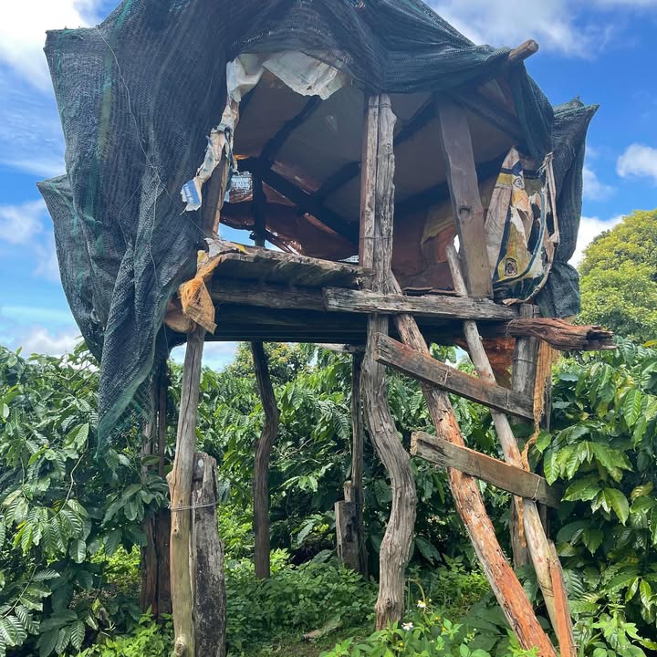 Đất nền tại xã Ia Blang, huyện Chư Sê 448m² - Cơ hội đầu tư hấp dẫn!