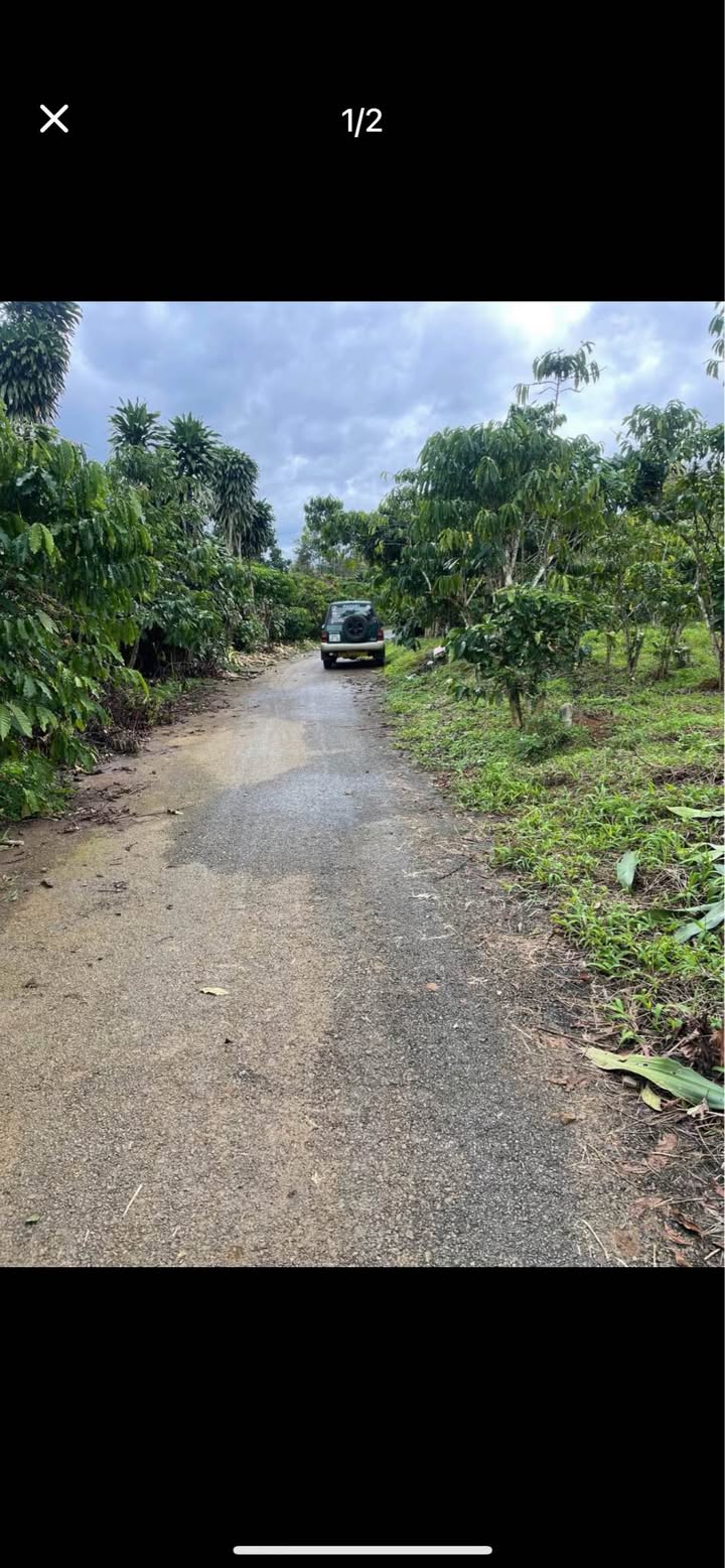 Đất Tân Lạc Bảo Lâm 2880m² giá 2.15 tỷ - Sổ đỏ chính chủ, thổ cư 100m²!