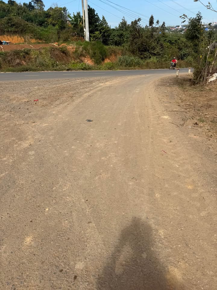 Đất thổ cư Hòa Ninh, Lâm Đồng 217m² giá chỉ 450 triệu - Cơ hội đầu tư tiềm năng!