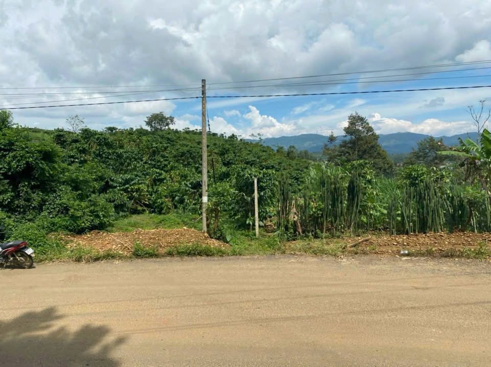 Đất nền thổ cư Bảo Lộc 1500m² giá 1.95 tỷ - Mặt tiền đường chính thuận lợi!