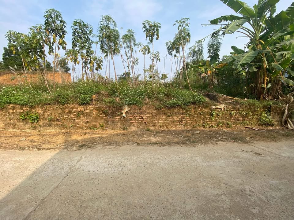 Đất thổ cư Phú Hộ, Phú Thọ 145m² giá 1.1 tỷ - Đầu tư sinh lời ngay!