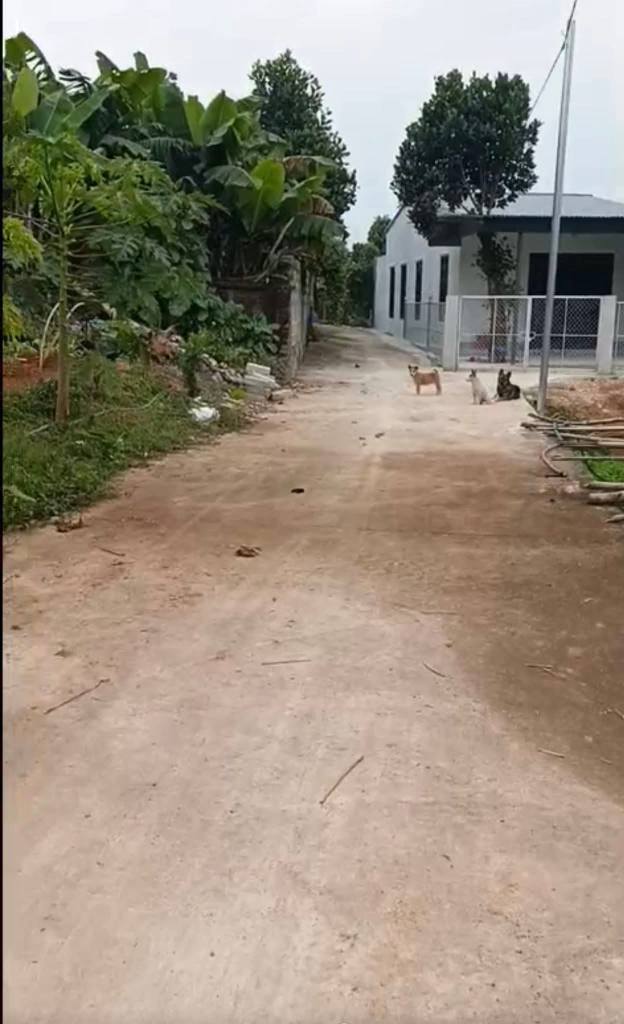 Đất nền Phường Linh Sơn Thái Nguyên 100m² giá 500 triệu - Cơ hội đầu tư tuyệt vời!