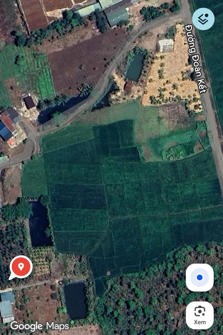 Nhà vườn 6.500m² tại Hòa Khánh, Buôn Ma Thuột - View ruộng lúa tuyệt đẹp!