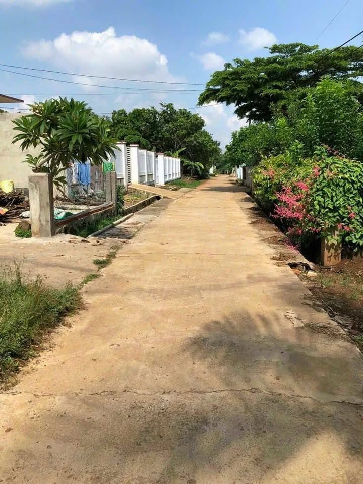 Đất thổ cư 120m² sau chợ xã Hòa Phú, Buôn Ma Thuột - Chỉ 725 triệu!