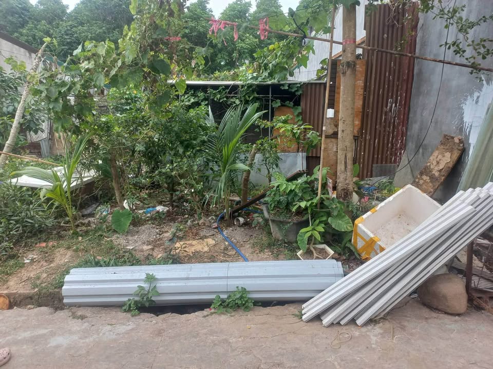 Đất nông nghiệp Hẻm 250 Tạ Quang Bửu 100m² giá 200 triệu - Cơ hội đầu tư lý tưởng!