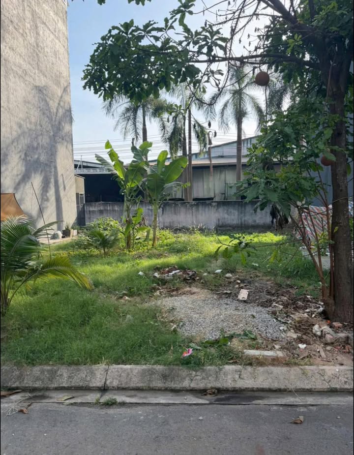 Đất thổ cư 61m² tại thị trấn Ba Hàng Đồi, Hòa Bình chỉ 435 triệu - Cơ hội đầu tư tuyệt vời!