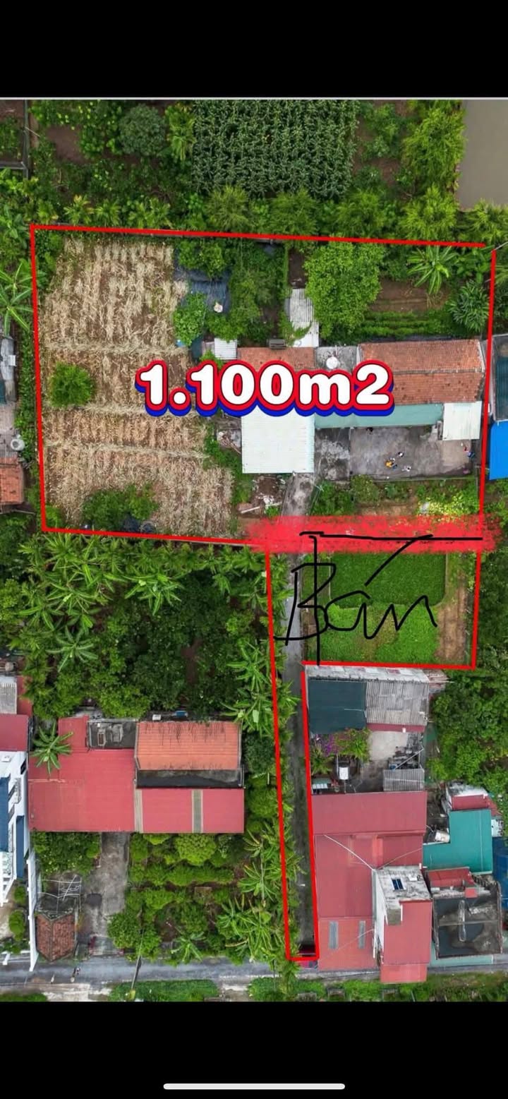 Đất nền Hải Phú, Hải Hậu 1100m² - Giá chỉ từ 2 tỷ, đầu tư sinh lời!