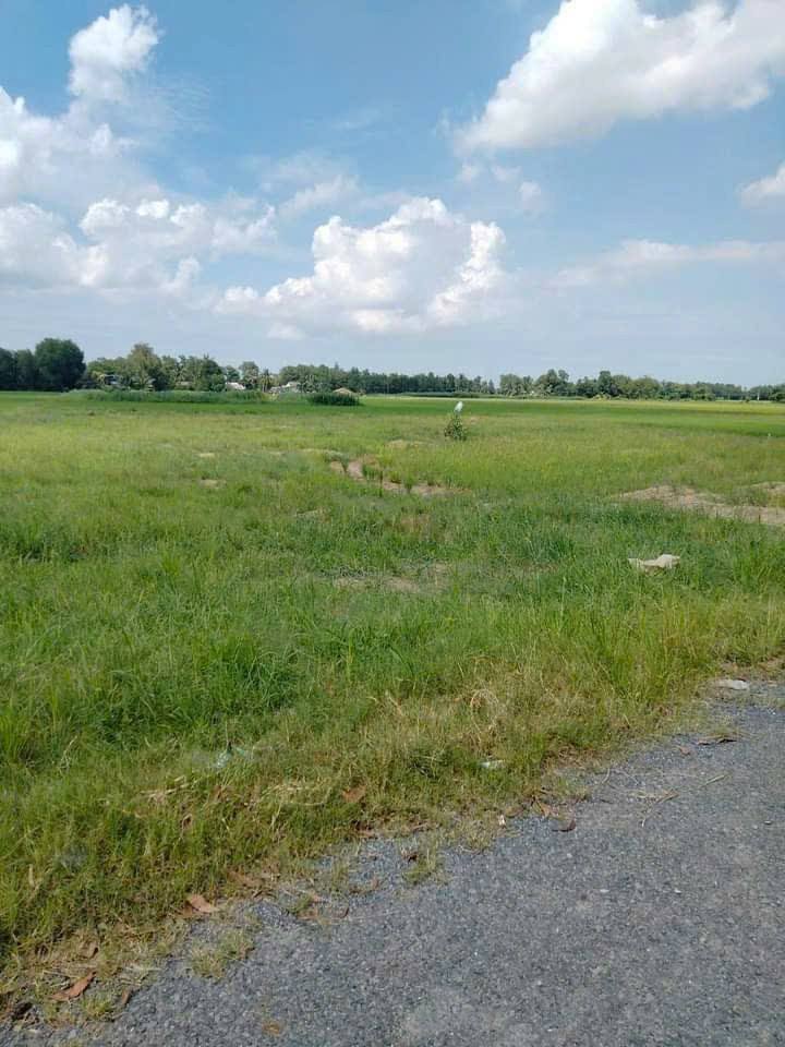 Đất nền Hòa Lợi Châu Thành 125m² giá 330 triệu - Đầu tư sinh lời ngay!