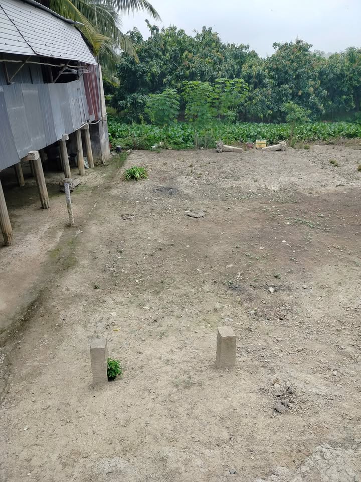 Đất nền 336m² xã Bình Thành, Đồng Tháp - Giá chỉ 650 triệu