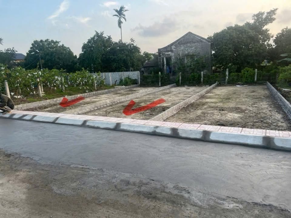 Đất thổ cư Trực Trang, An Lão, Hải Phòng 75m² giá 810 triệu - Đón sóng đầu tư ngay!