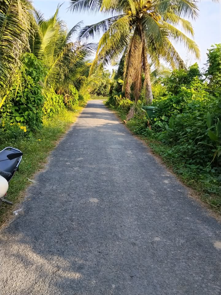 Đất vườn 1143m² xã Trung Chánh, Vĩnh Long giá chỉ 1 tỷ - Pháp lý CLN rõ ràng!