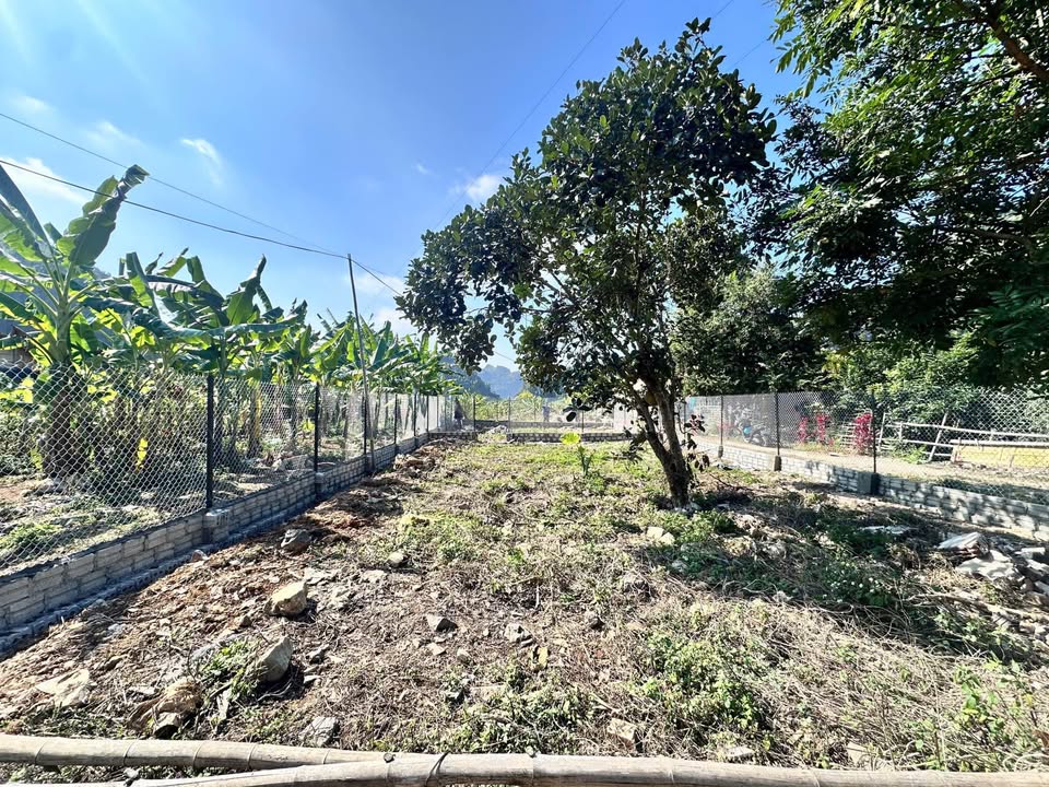 Đất nền 250m² Chiềng Ngần Sơn La - Đầu tư sinh lời lâu dài!