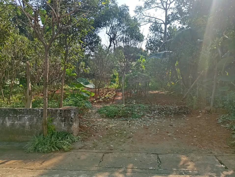 Đất nền đẹp tại Thôn Đồng Chay, Ba Vì 354m² - Đầu tư lý tưởng cho nghỉ dưỡng!