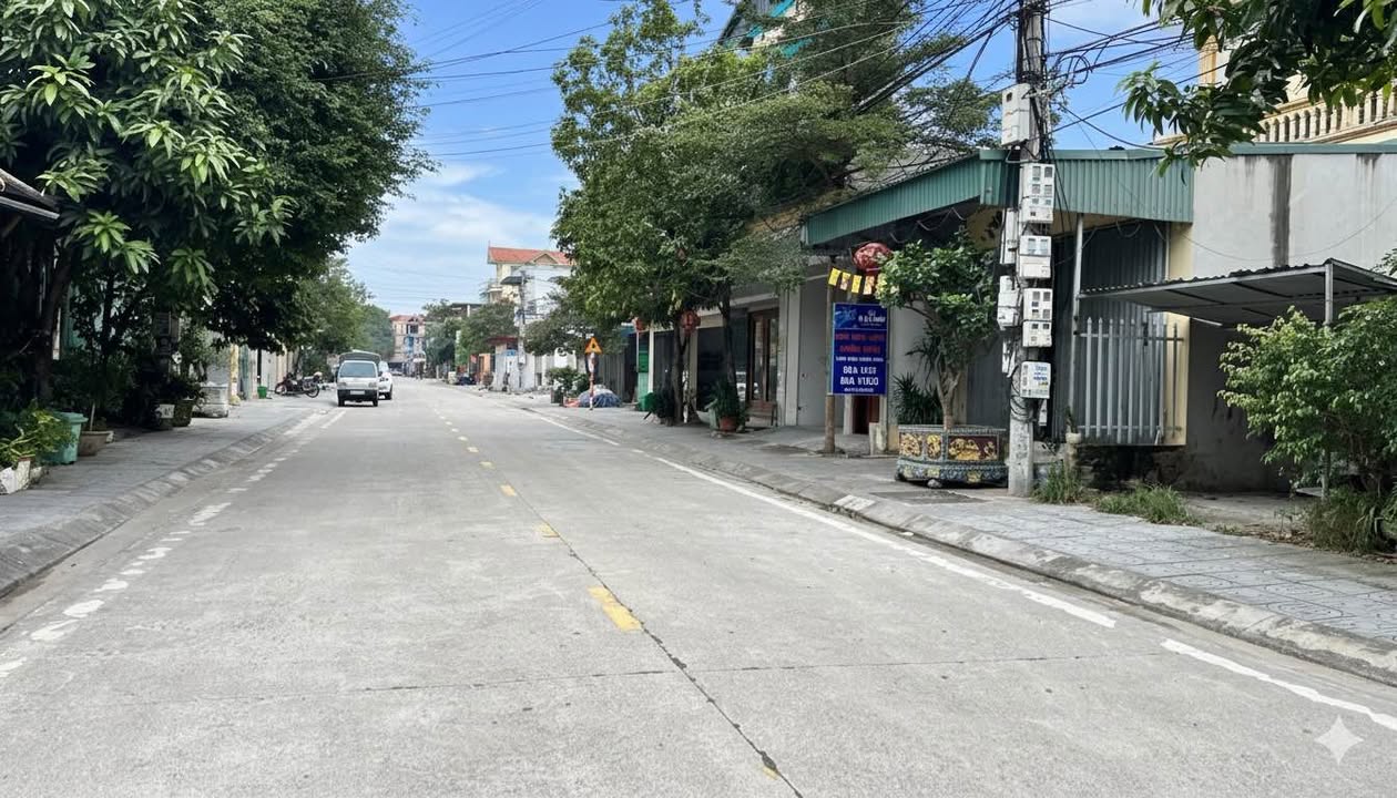 Lô đất Ninh Bình 98.5m² giá 3 tỷ - Đường Trần Quang Khải, Ngõ thông ô tô vào được!