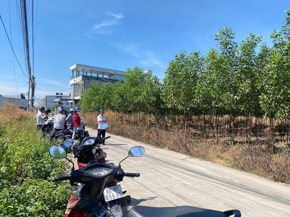 Đất nền An Viễn, Trảng Bom 115m² giá 13 tỷ - Vị trí đắc địa gần KCN Giang Điền!