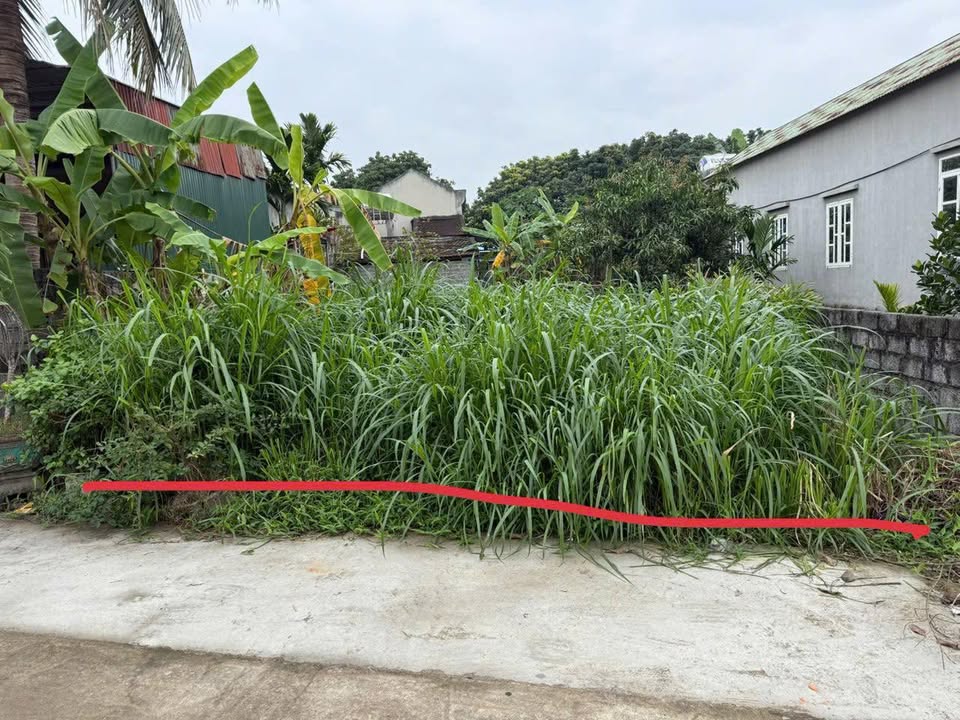 Đất nền Thọ Lâm, Thọ Xuân 200m² - Đầu tư sinh lời cao!