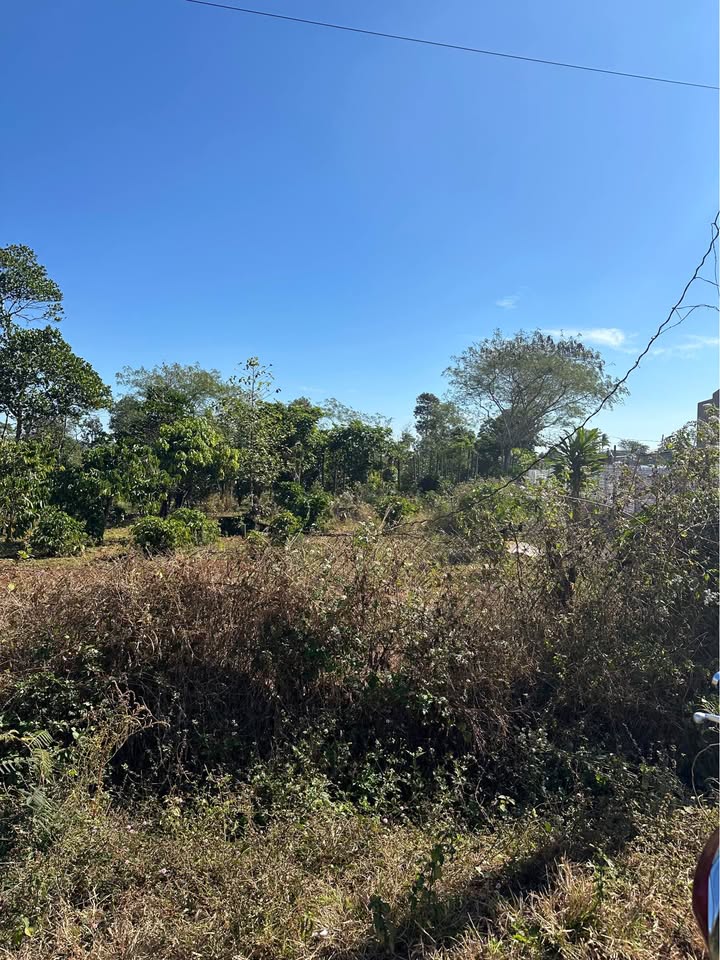 Đất nền mặt tiền Đào Duy Từ Pleiku 250m² giá 1 tỷ - Cơ hội đầu tư hấp dẫn!