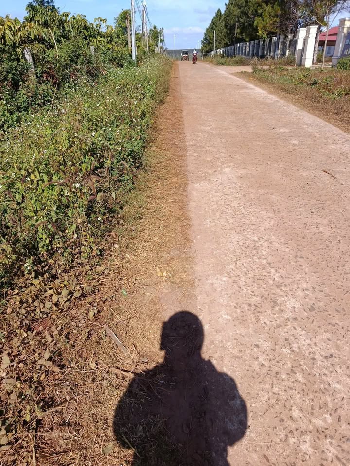 Đất nông nghiệp 8.000m² tại xã Trang, Đăk Đoa - Giá chỉ 2 tỷ, sổ hồng chính chủ!