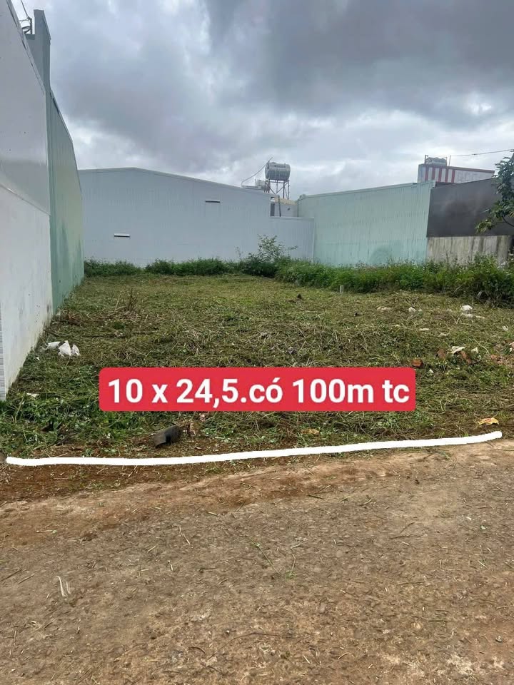 Lô đất Đồi Thông Phan Đình Phùng 250m² giá 1.25 tỷ - Giảm giá 100 triệu trước Tết!