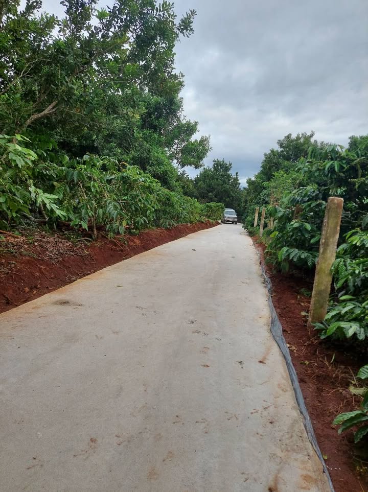 Đất nền Nam Hà Lâm Hà 7968m² giá 8.5 tỷ - Sổ hồng chính chủ, thuận tiện đầu tư!