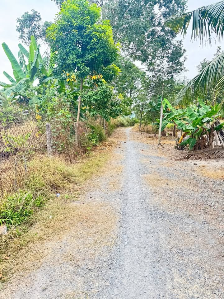 Đất thổ cư 175m² Hưng Thuận Trảng Bàng giá 420 triệu - Sổ đỏ chính chủ ngay!