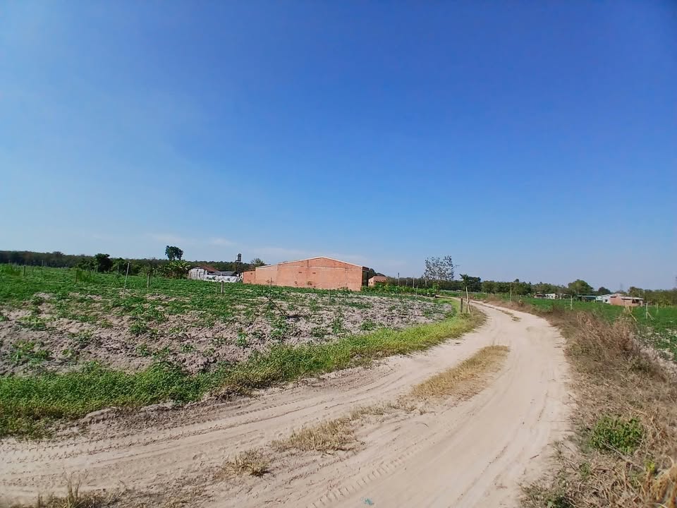 Đất nền An Cơ - Châu Thành, Tây Ninh 638m² giá 260 triệu - Cơ hội đầu tư tuyệt vời!