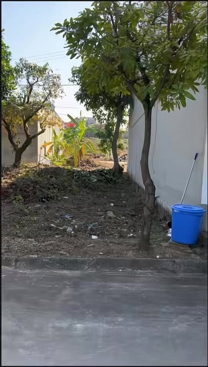 Đất nền Xóm Vực Hòa Xá 78m² giá thương lượng - Cơ hội đầu tư tuyệt vời!