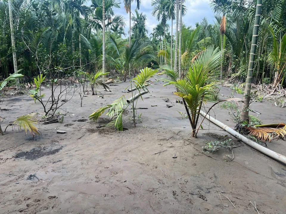 Đất nền 1488m² xã Bình Hòa - Giá chỉ 800 triệu, cơ hội đầu tư tuyệt vời!