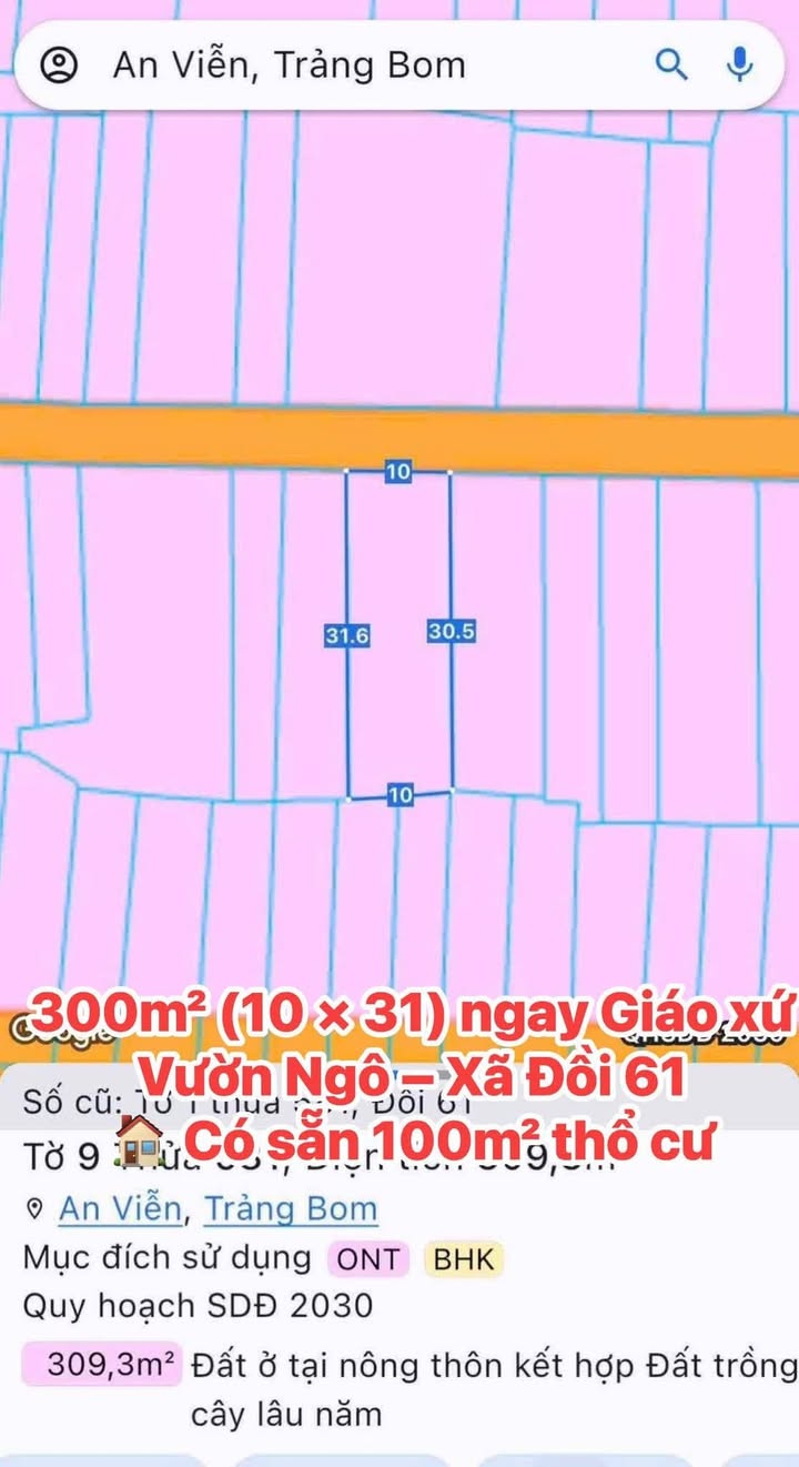 Đất nền 300m² tại Giáo xứ Vườn Ngô, Đồi 61 - Sổ hồng sẵn, giá chỉ 2 tỷ!