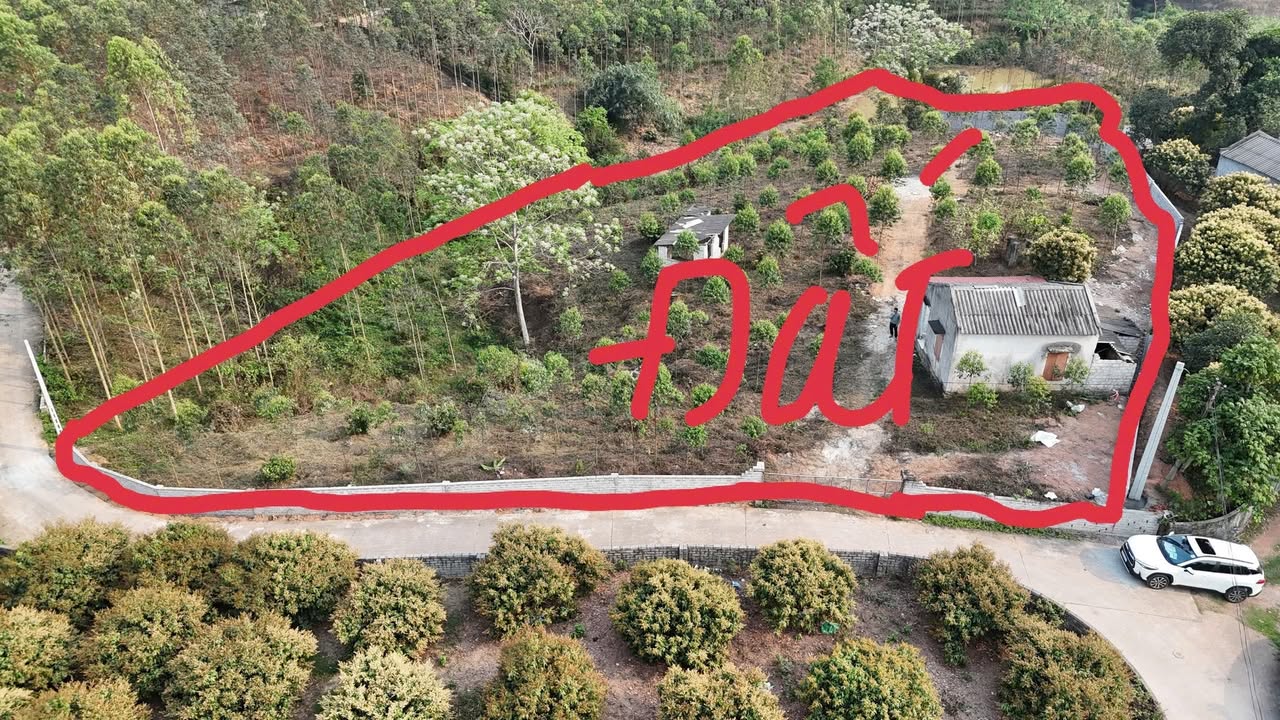 Đất nền 2600m² Đồng Kỳ, Yên Thế chỉ 900 triệu - Sổ đỏ chính chủ, mặt tiền hơn 50m!