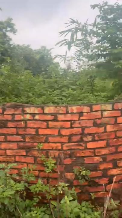 Đất thổ cư 1000m² Phú Nghĩa, Chương Mỹ, Hà Nội - Giá chỉ 10 triệu/m², cơ hội đầu tư hấp dẫn!