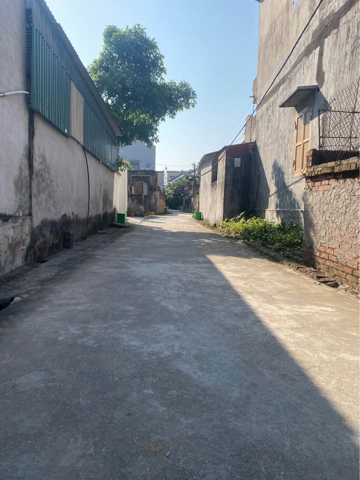 Đất nền Cẩm Giàng Hải Dương 80m² giá 1.5 tỷ - Đầu tư sinh lời tuyệt vời!