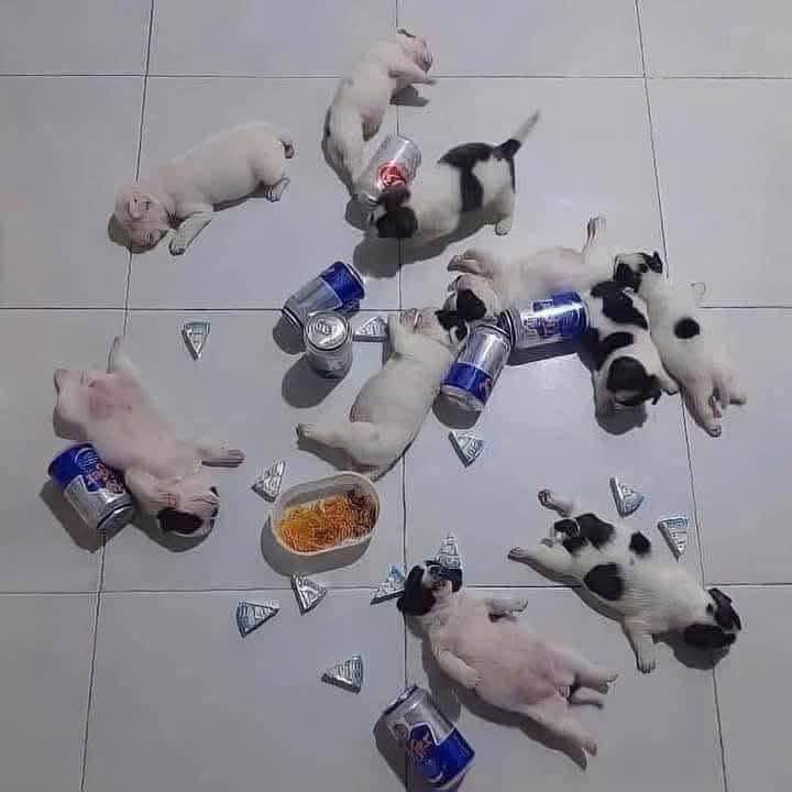 Đất nền Hòa Bình, Xuyên Mộc 2700m² giá 700 triệu - Cơ hội đầu tư hấp dẫn!