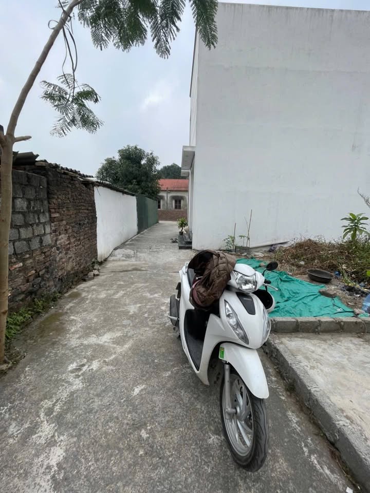 Lô đất Thôn Chương Lộc, Thường Tín, 43m² giá 2.5 tỷ - Cơ hội đầu tư tuyệt vời!