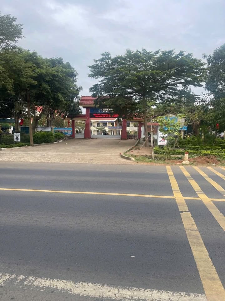 Đất mặt tiền Quốc lộ 14A, Đắk Mil 976m² - Vị trí kinh doanh đắc địa!