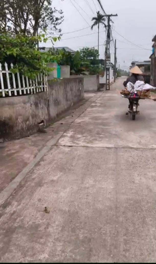 Đất nền xã Nam Hưng Tiền Hải 100m² giá chỉ 500 triệu - Đầu tư sinh lời ngay!