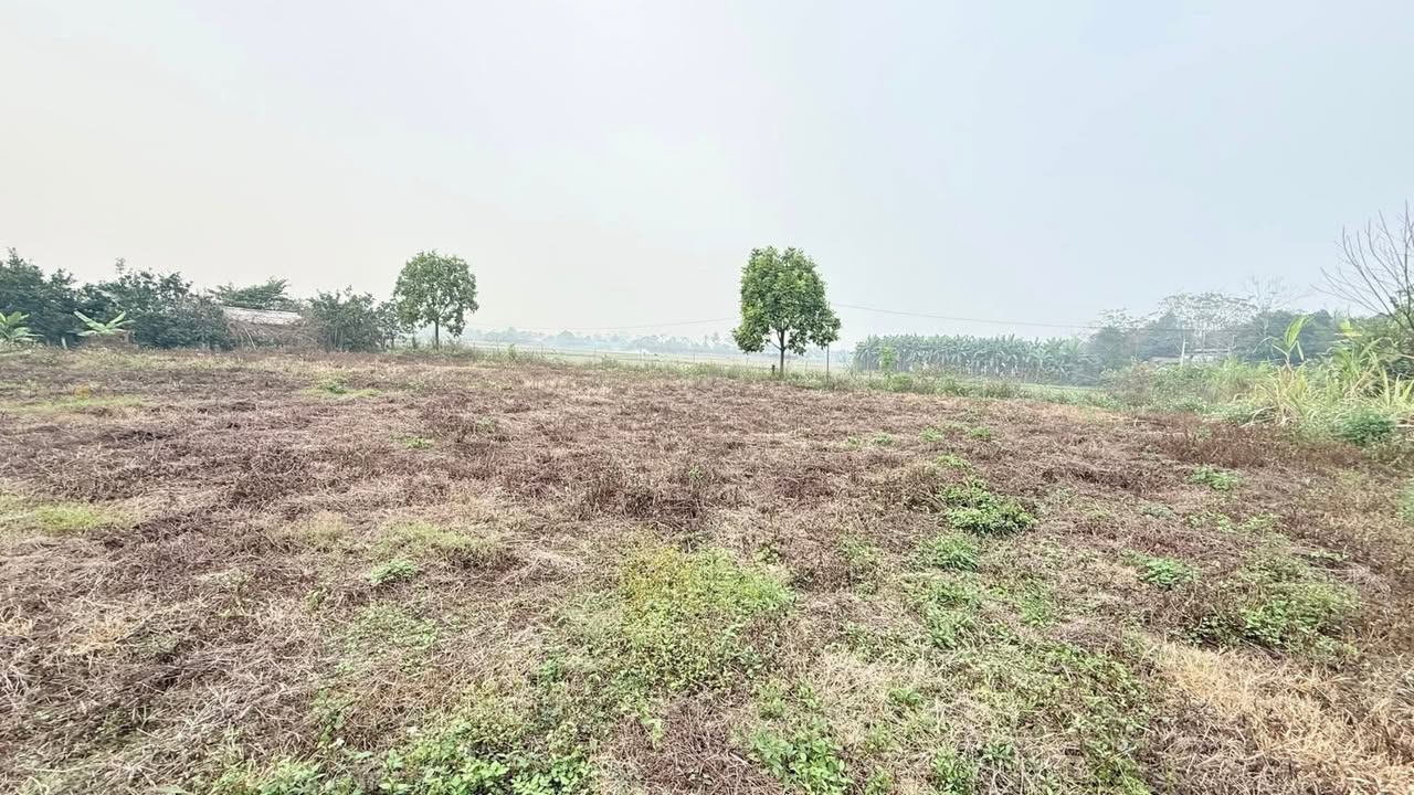 Đất Cẩm Lĩnh Ba Vì 500m² giá 1.1 tỷ - Hai mặt tiền đường, view thoáng đãng!