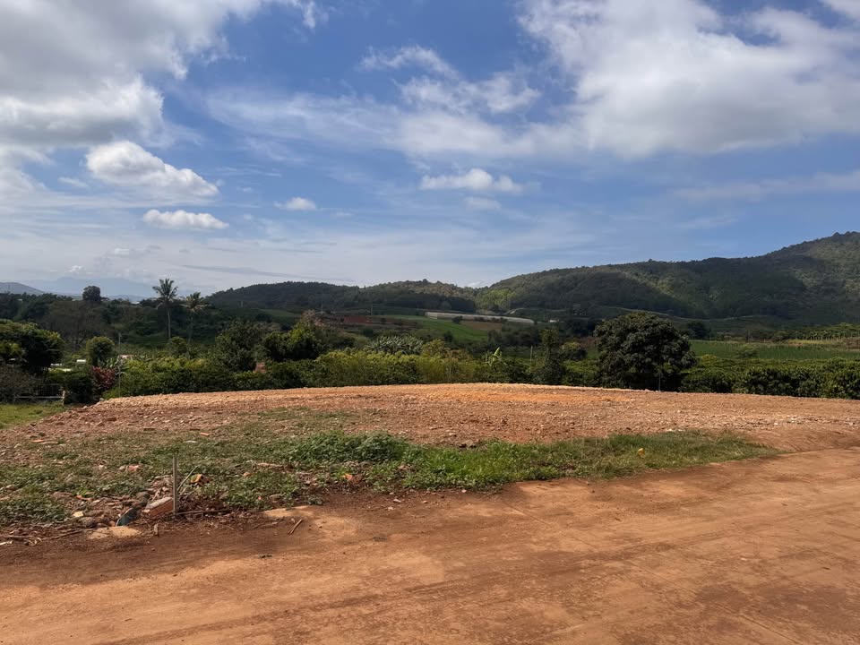 Đất nền Hiệp Thạnh, Đức Trọng, Lâm Đồng 240m² giá 1.09 tỷ - Đầu tư tiềm năng