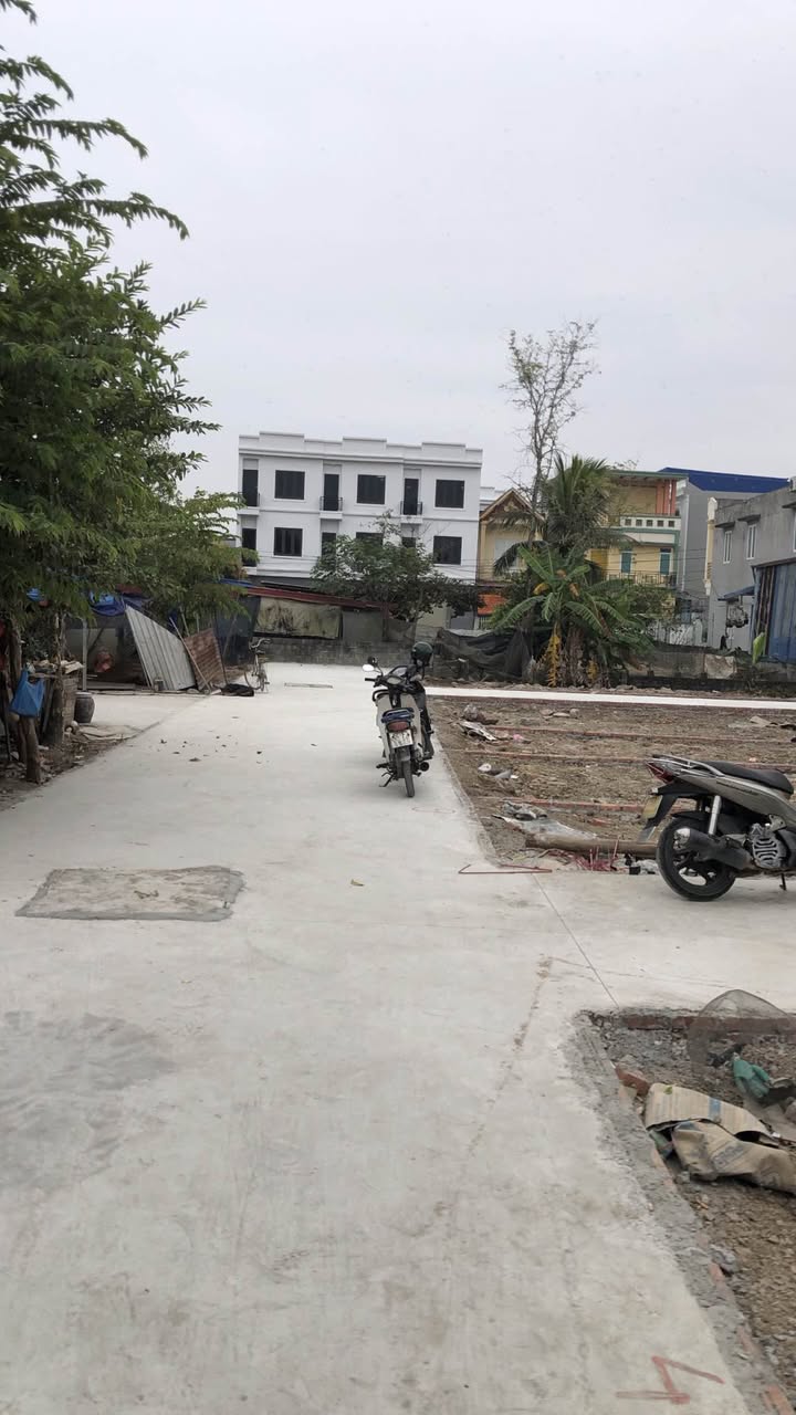 Đất nền dự án tại Tràng Minh Kiến An 50m² giá chỉ từ 800 triệu - Cơ hội đầu tư hấp dẫn!