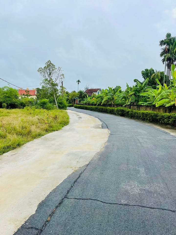 Đất thổ cư Thạch Thắng 180m² giá chỉ 700 triệu - Cơ hội đầu tư sinh lời!