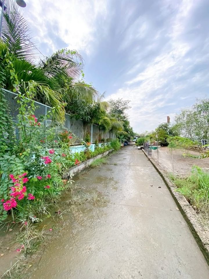 Biệt thự Nhà Bè 945m² giá 3 tỷ - Sổ hồng riêng, ô tô vào tận nơi!