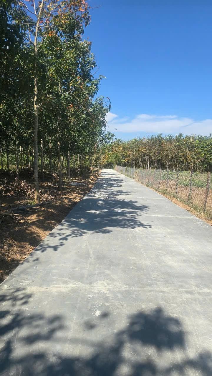 Đất nền Lộc An Lộc Ninh 28,000m² - Sổ đỏ chính chủ, giá tốt!