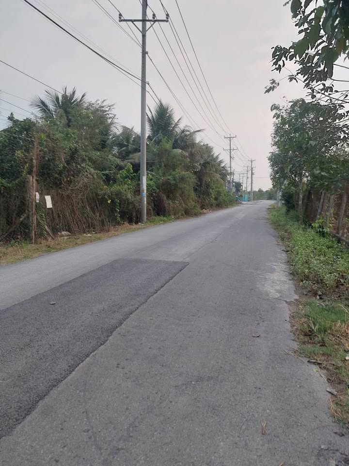 Lô đất mặt tiền Phạm Văn Ngô, Tân Khánh, 1200m² giá 4.5 tỷ - Đất sạch đẹp, sẵn sàng đầu tư!