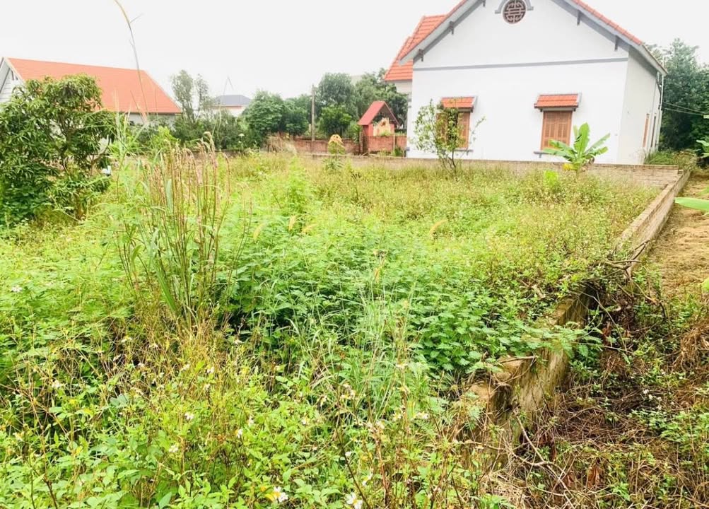 Đất Kim Sơn, Đông Triều 96.5m² giá 530 triệu - Đầu tư lý tưởng cho người có tài chính nhỏ!